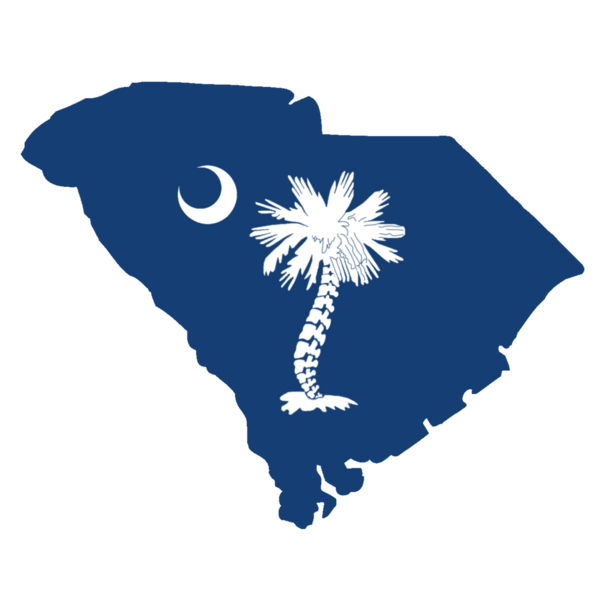 Palmetto Chiropractic & Laser Center