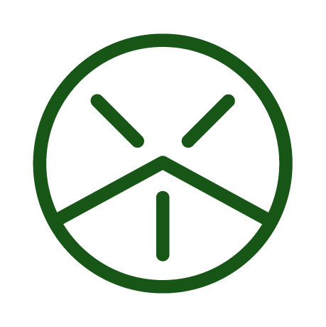 Crossover Physical Therapy and Performance