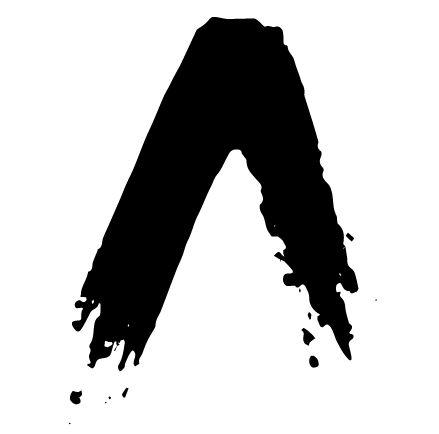 The Physical Therapy Academy