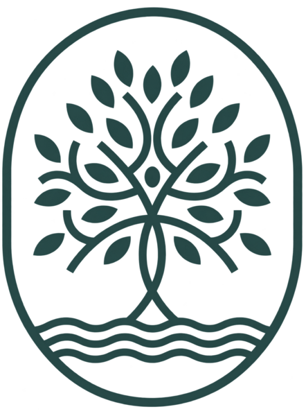 Steady State Physical Therapy and Wellness PLLC
