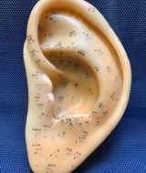 Book an Appointment with Ear Community Acupuncture #1 at AIMC Student Clinic