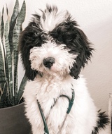 Book an Appointment with Office Manager at Eastridge Chiropractic Company