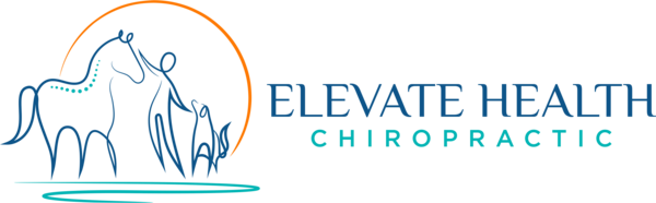 Elevate Health Chiropractic LLC