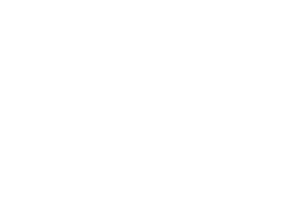 Wellness Consultants of South FL