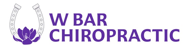 W Bar Chiropractic, LLC
