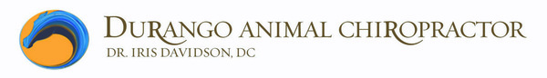 Durango Animal Chiropractor