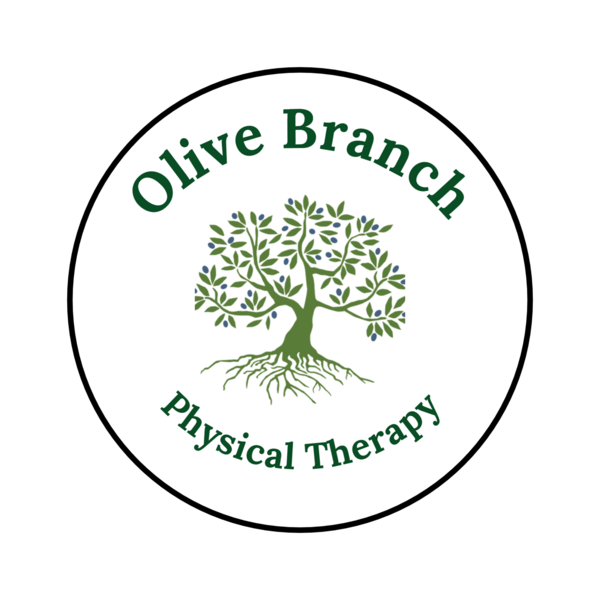 Olive Branch Physical Therapy